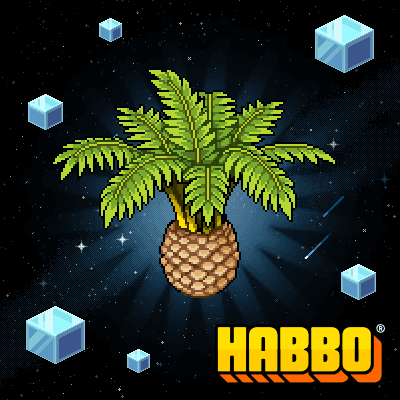 Canary Date Palm