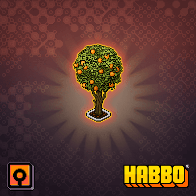 Orange Tree