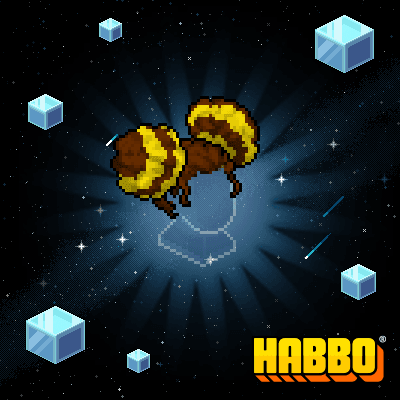 Bee Buns