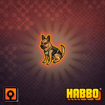 Hector the German Shepherd