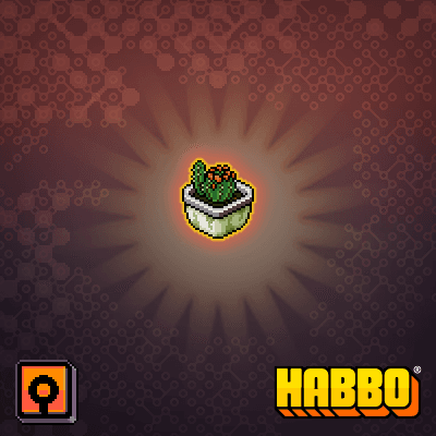 Potted Cactus 1