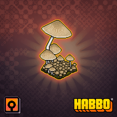 Eco Mushroom 1