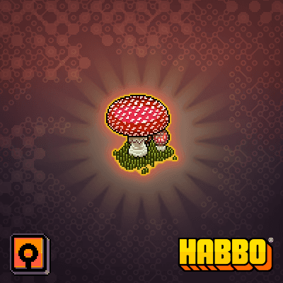Eco Mushroom 2