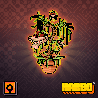 Rare Monster Plant