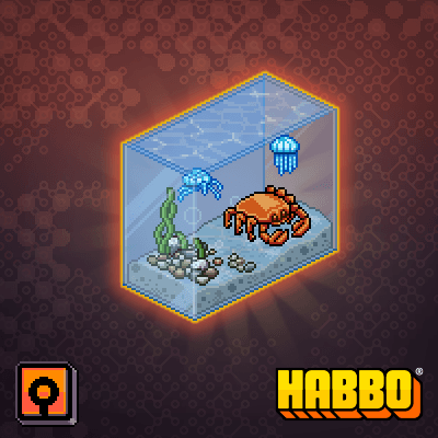 King Crab Tank
