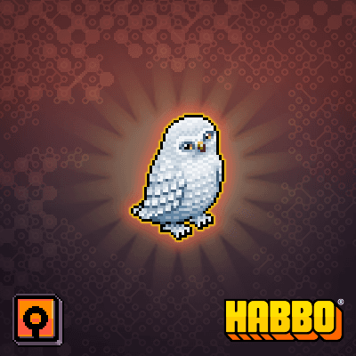 Snowy Owl
