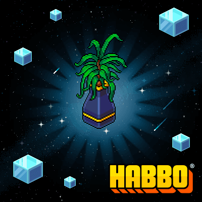 Indigo X Plant